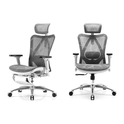 Sihoo M57 Ergonomic Chair