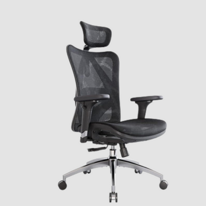 Sihoo M57 Ergonomic Chair