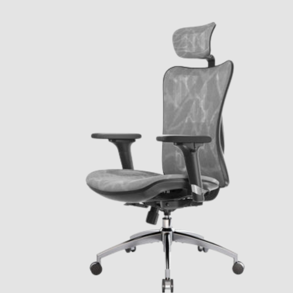 Sihoo M57 Ergonomic Chair