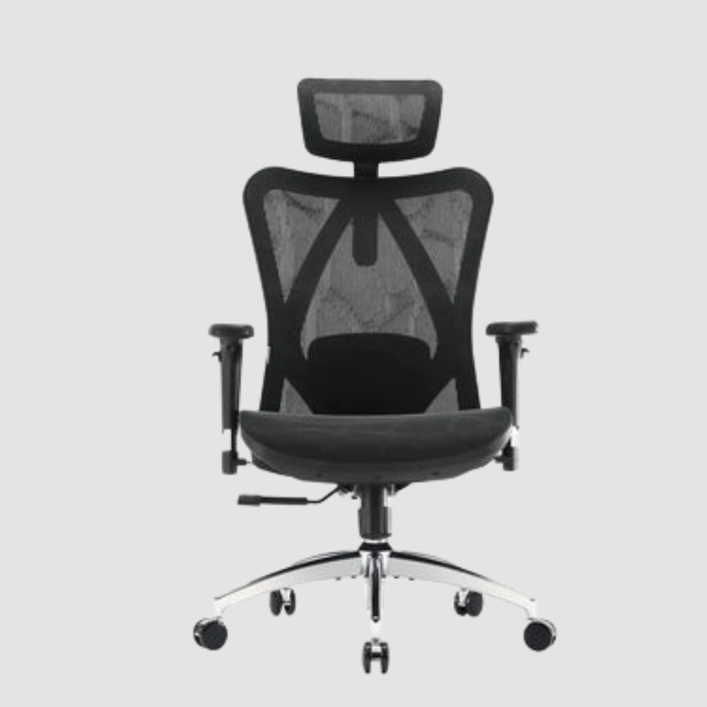 Sihoo M57 Ergonomic Chair