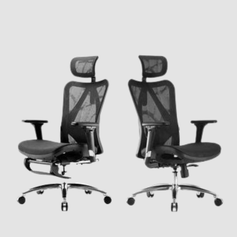Sihoo M57 Ergonomic Chair