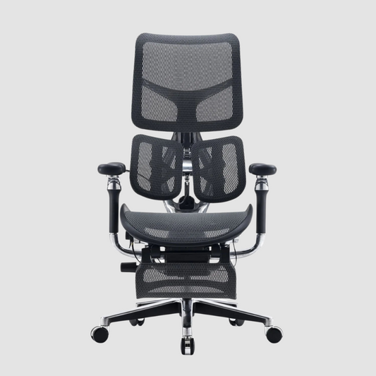 Sihoo Doro S300 Highly Adjustable Ergonomic Chair