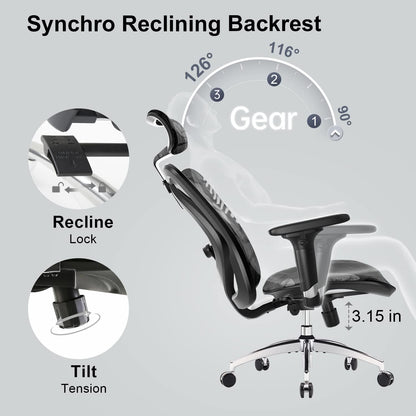 Sihoo M57 Ergonomic Chair
