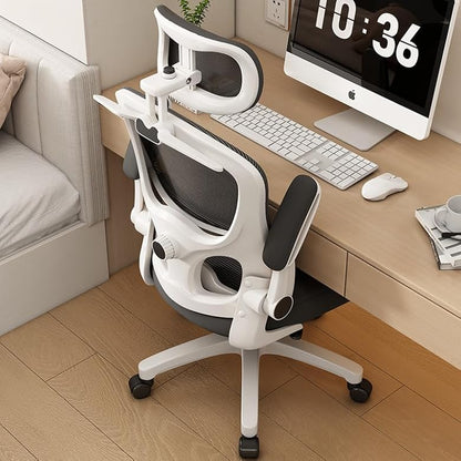 NF-02 Basic Ergonomic Chair