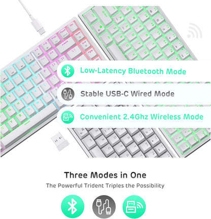 ROYAL KLUDGE RK84 RGB 75% MECHANICAL KEYBOARD