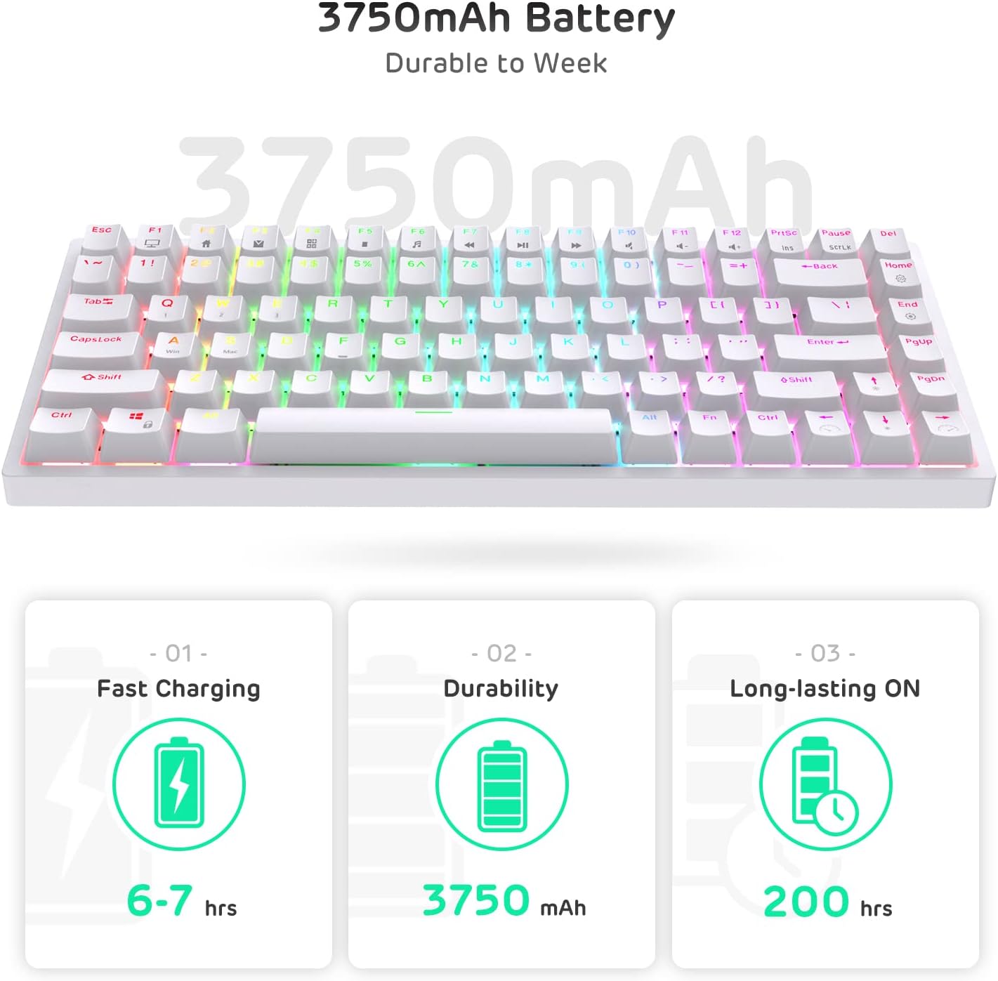 ROYAL KLUDGE RK84 RGB 75% MECHANICAL KEYBOARD