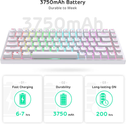 ROYAL KLUDGE RK84 RGB 75% MECHANICAL KEYBOARD