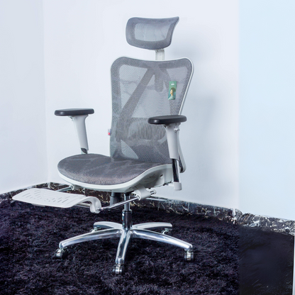 Sihoo M57 Ergonomic Chair