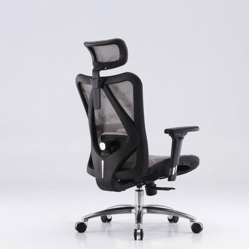 Sihoo M57 Ergonomic Chair