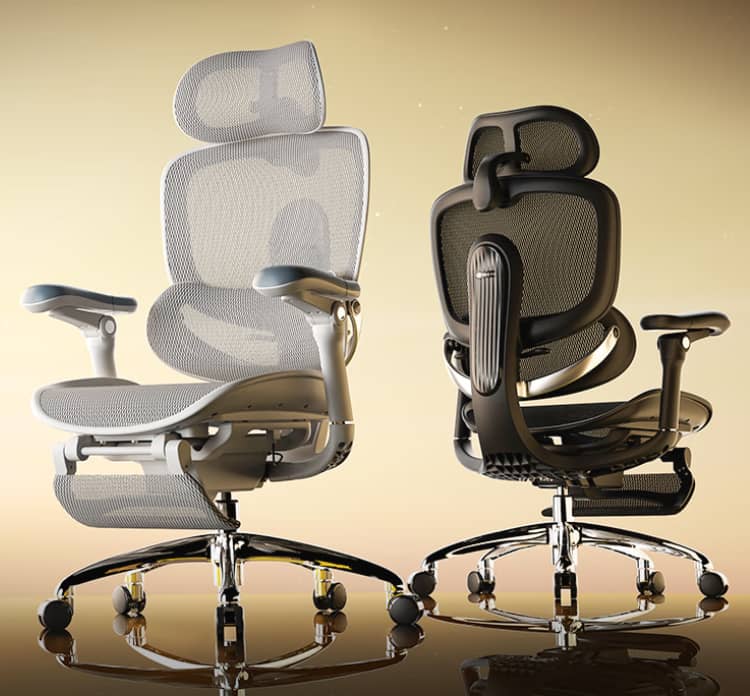 Sihoo Doro C300 Pro 2nd Gen Highly Adjustable Ergonomic Office Chair