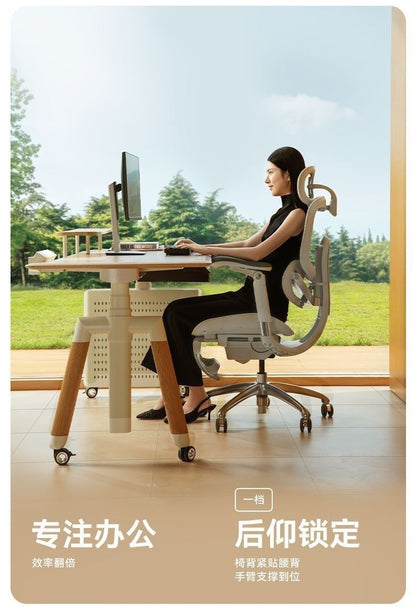 Sihoo Doro C300 Pro 2nd Gen Highly Adjustable Ergonomic Office Chair