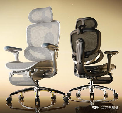 Sihoo Doro C300 Pro 2nd Gen Highly Adjustable Ergonomic Office Chair