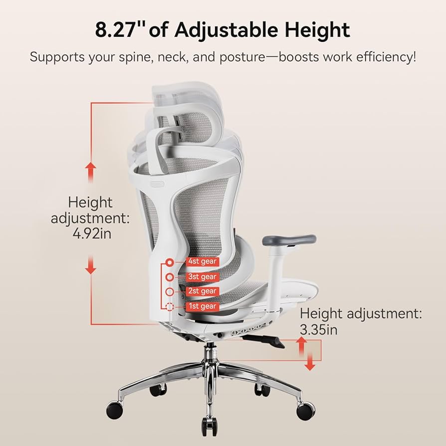 SIHOO Doro C300 Pro Ergonomic Office Chair