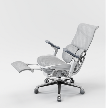 Sihoo Doro S300 Highly Adjustable Ergonomic Chair